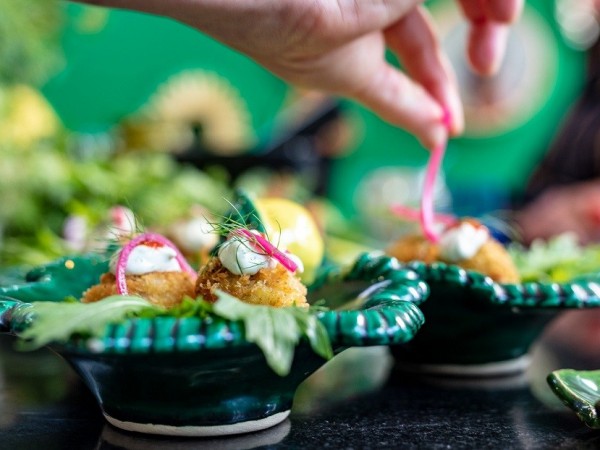 De Planttrekkerij Antwerpen