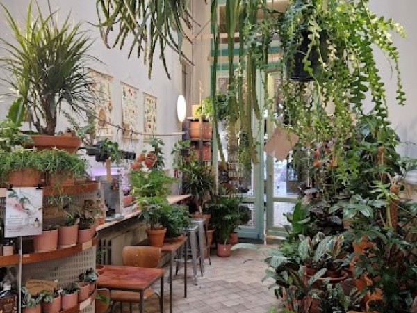 Plantbar Jacqueline Antwerpen